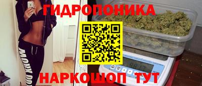 эйфоретик Шебекино