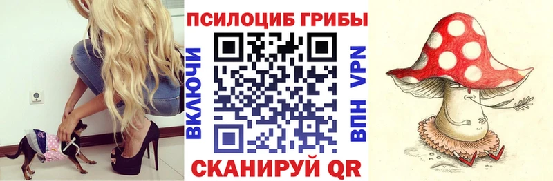Псилоцибиновые грибы Cubensis сколько стоит Кунгур