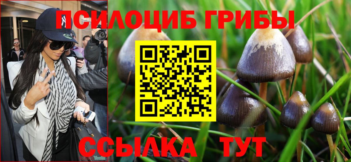 Галлюциногенные грибы прущие грибы Кунгур