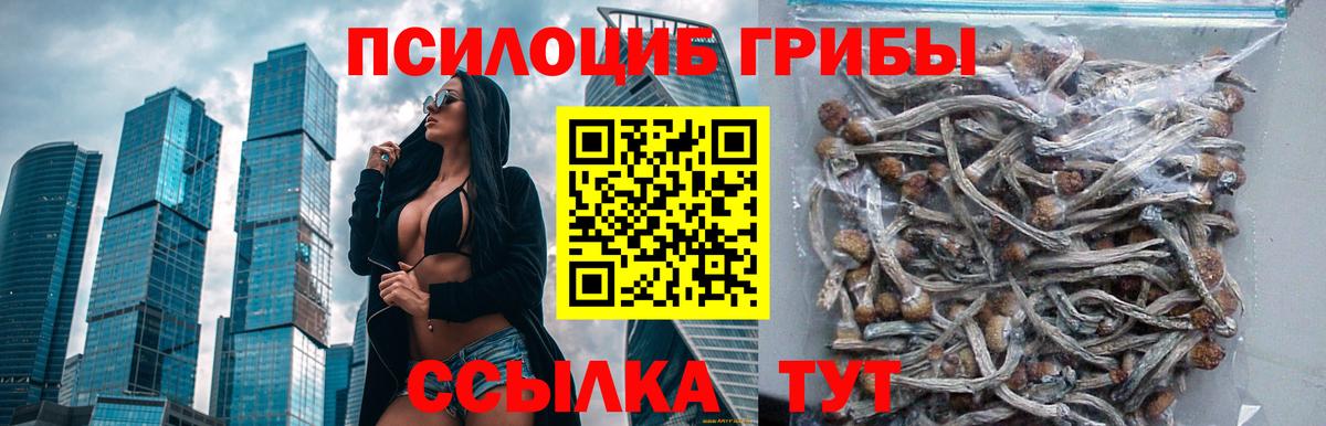 Кунгур  Галлюциногенные грибы GOLDEN TEACHER  Псилоцибиновые грибы прущие грибы  Вход с VPN 